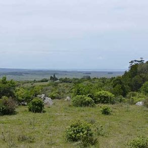 Uy014   Campo Altos de Maturrango Rocha
