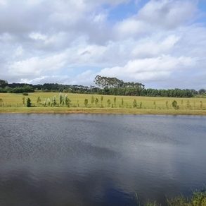 Uy 026 Terreno en venta en Punta del Este