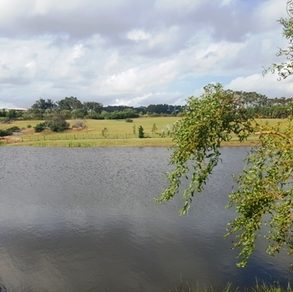 Uy 026 Terreno en venta en Punta del Este