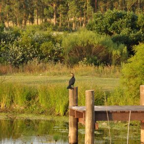 Uy  02 Chacra en el Valle de Lapataia