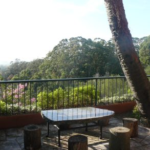 Uy 040 Campo sobre R39,110 has ,ideal inversión