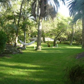 Uy 040 Campo sobre R39,110 has ,ideal inversión