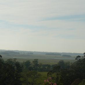 Uy 040 Campo sobre R39,110 has ,ideal inversión