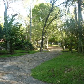 Uy 040 Campo sobre R39,110 has ,ideal inversión