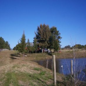 Uy 037 Chacra en Mangrullos de Punta Piedras Ruta 104 Km 1