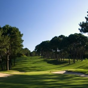 Uy 079  Manzana frente a la cancha del golf de Punta del Este