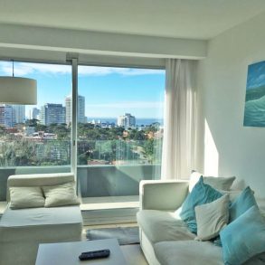 Uy 136  Apartamento En Torre Del Mar Con Terraza Exclusiva En Penthouse