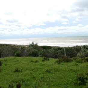 Uy 146  Fracción de campo con costa Oceánica en Rocha