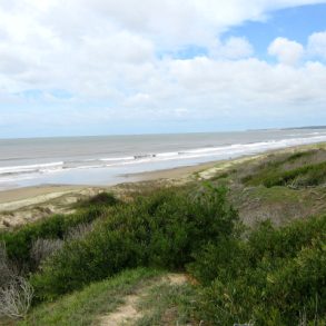 Uy 146  Fracción de campo con costa Oceánica en Rocha