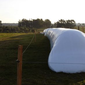 Uy 151 Campo Agrícola Ganadero de 315 hás