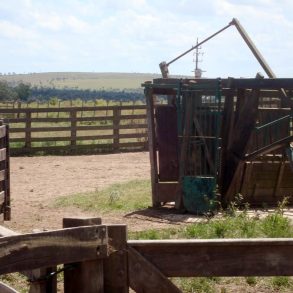 Uy 151 Campo Agrícola Ganadero de 315 hás